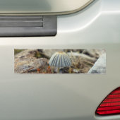 Tiny Toadstool Autoaufkleber (Auf Auto)