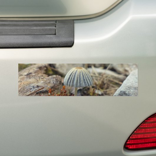 Tiny Toadstool Autoaufkleber (Auf Auto)
