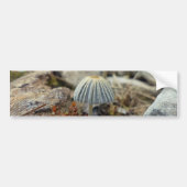 Tiny Toadstool Autoaufkleber (Vorne)