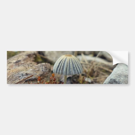 Tiny Toadstool Autoaufkleber (Vorne)