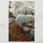 Tiny Toadstool Briefpapier (Vorderseite)