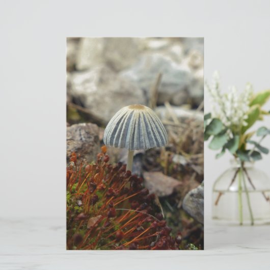 Tiny Toadstool Briefpapier (Stehend Vorderseite)