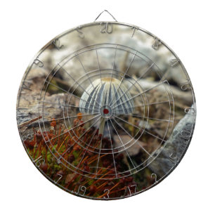 Tiny Toadstool Dartscheibe