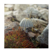 Tiny Toadstool Fliese (Vorderseite)