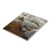 Tiny Toadstool Fliese (Seite)