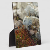 Tiny Toadstool Fotoplatte (Seite)
