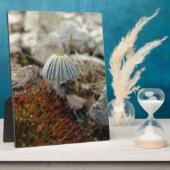 Tiny Toadstool Fotoplatte (Seite)