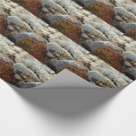 Tiny Toadstool Geschenkpapier (Ecke)