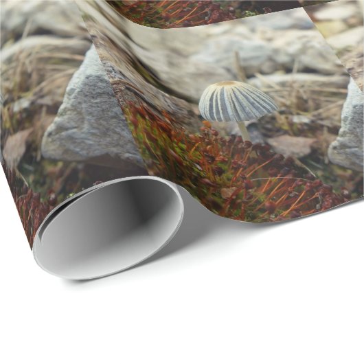 Tiny Toadstool Geschenkpapier (Rolleneckpunkt)