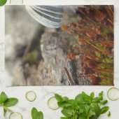 Tiny Toadstool Handtuch (Gefaltet)