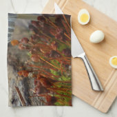 Tiny Toadstool Handtuch (Viertel Falte)