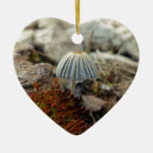 Tiny Toadstool Keramik Ornament (Vorne)