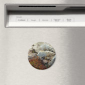 Tiny Toadstool Magnet (In Situ (Geschirrspüler))