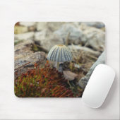 Tiny Toadstool Mousepad (Mit Mouse)