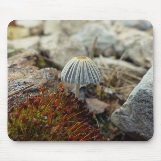 Tiny Toadstool Mousepad (Vorne)