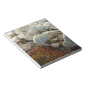 Tiny Toadstool Notizblock (angewinkelt)