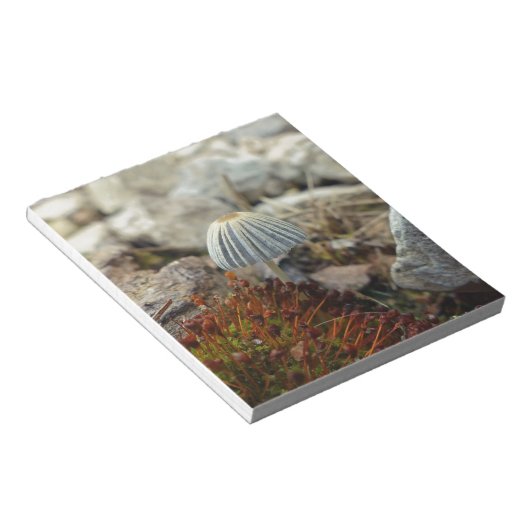 Tiny Toadstool Notizblock (angewinkelt)