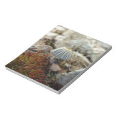 Tiny Toadstool Notizblock (Rotiert)