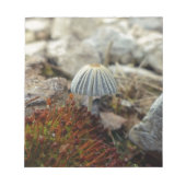 Tiny Toadstool Notizblock (Vorderseite)