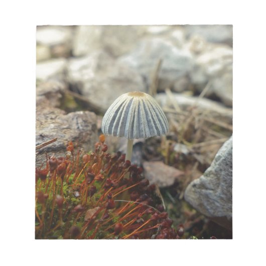 Tiny Toadstool Notizblock (Vorderseite)