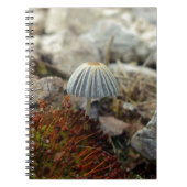 Tiny Toadstool Notizblock (Vorderseite)