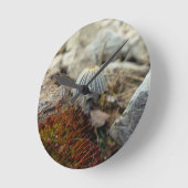 Tiny Toadstool Runde Wanduhr (Winkel)