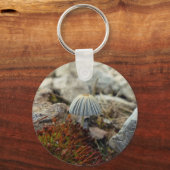 Tiny Toadstool Schlüsselanhänger (Vorderseite)