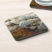 Tiny Toadstool Untersetzer (Linke Seite)