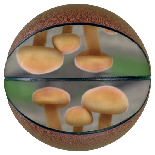 Tiny Toadstools Macro Basketballs (Vorderseite)