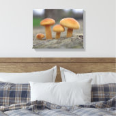 Tiny Toadstools Macro Canvas Print Leinwanddruck (Insitu (Schlafzimmer))