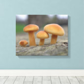 Tiny Toadstools Macro Canvas Print Leinwanddruck (Insitu (Holzboden))