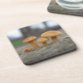 Tiny Toadstools Macro Cork Untersetzer (Linke Seite)