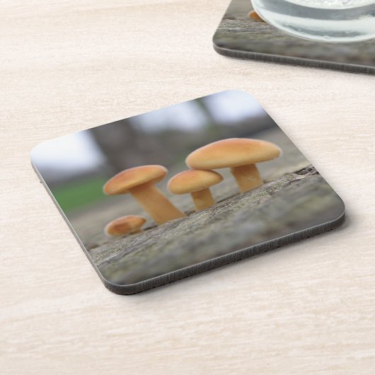 Tiny Toadstools Macro Cork Untersetzer (Linke Seite)