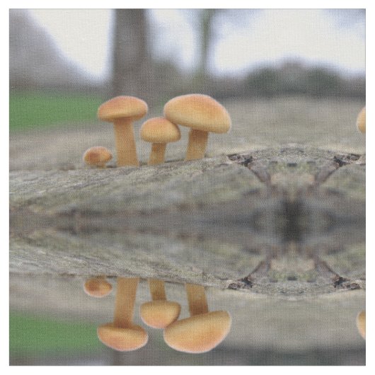 Tiny Toadstools Macro Gemustert Stoff (Nahaufnahme)