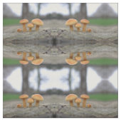 Tiny Toadstools Macro Gemustert Stoff (Muster)