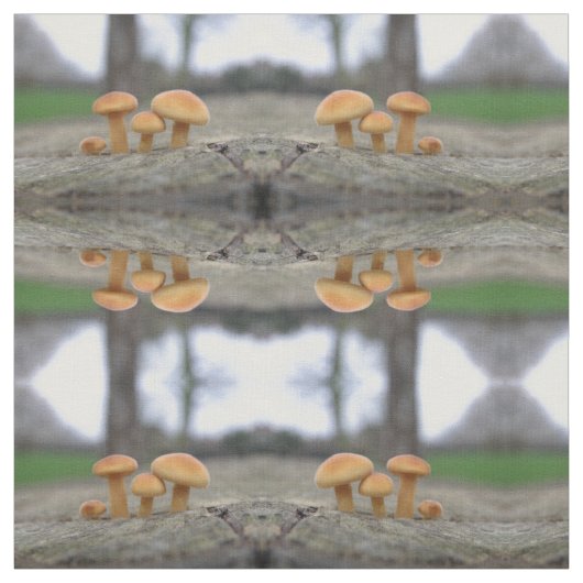 Tiny Toadstools Macro Gemustert Stoff (Muster)
