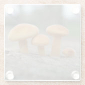Tiny Toadstools Macro Glass Untersetzer (Rückseite)