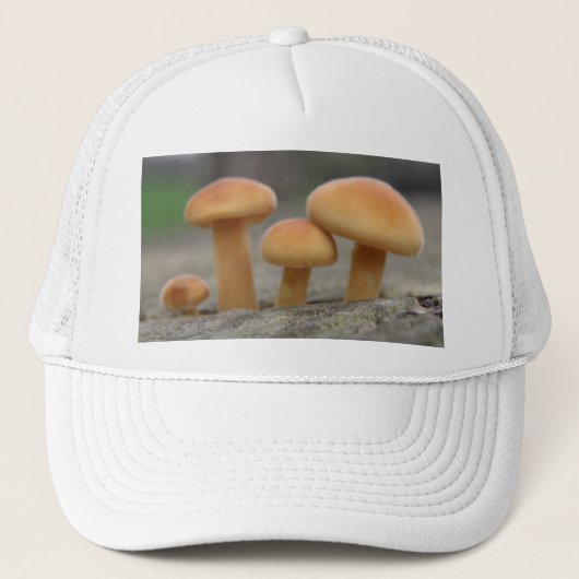 Tiny Toadstools Macro Hat Truckerkappe (Vorderseite)