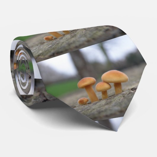 Tiny Toadstools Macro Krawatte (Gerollt)