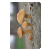 Tiny Toadstools Macro Mini Clipboard Klemmbrett (Rückseite)
