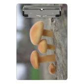 Tiny Toadstools Macro Mini Clipboard Klemmbrett (Vorderseite)