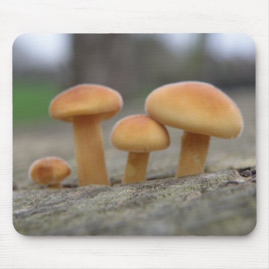 Tiny Toadstools Macro Mousepad (Vorne)