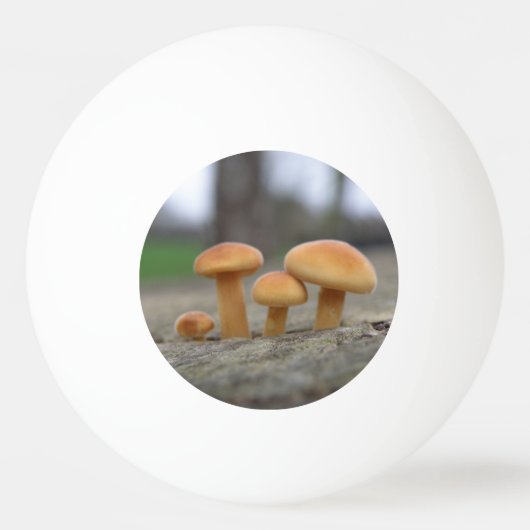 Tiny Toadstools Macro Ping Pong Ball Tischtennisball (Vorderseite)