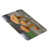 Tiny Toadstools Macro Premium Magnet (Rechte Seite)