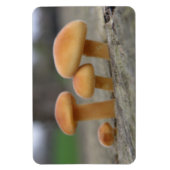 Tiny Toadstools Macro Premium Magnet (Vertikal)