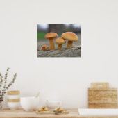 Tiny Toadstools Macro Print Poster (Küche)