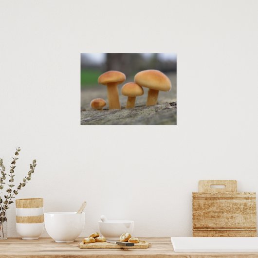 Tiny Toadstools Macro Print Poster (Küche)