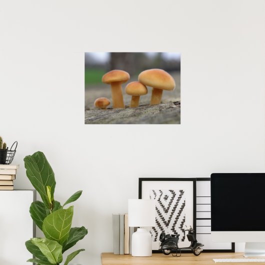 Tiny Toadstools Macro Print Poster (Heimbüro)