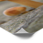 Tiny Toadstools Macro Print Poster (Ecke)