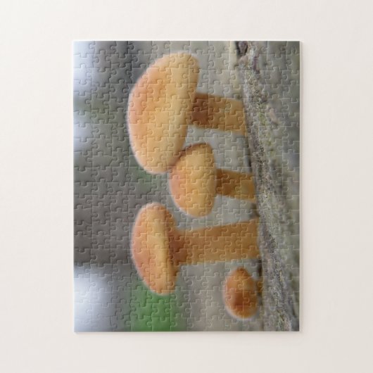 Tiny Toadstools Macro Puzzle (Vertikal)